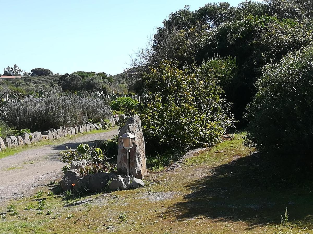 فيلا L'Oasi SantʼAntìoco المظهر الخارجي الصورة