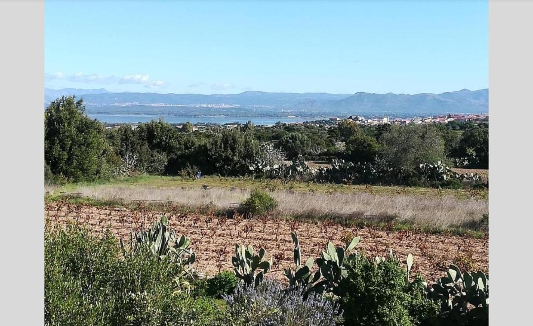 فيلا L'Oasi SantʼAntìoco المظهر الخارجي الصورة